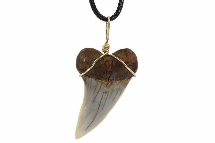 Fossil Mako Tooth Necklace - Bakersfield, California #95248